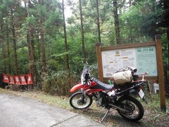 DSCF3884