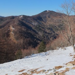 DSCF4215