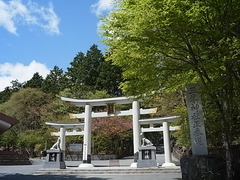 R0011619