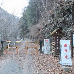DSCF4359