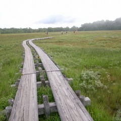 R9325959