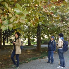 DSCF5105