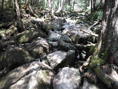 DSCF2247