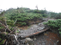 DSCF2398