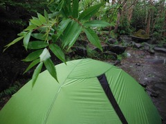 DSCF2286