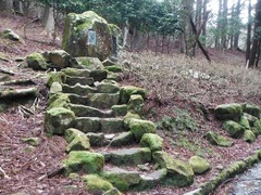DSCF4627