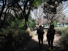 DSCF6520