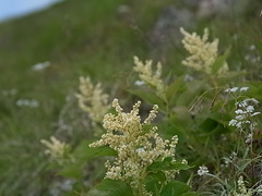 R0012670