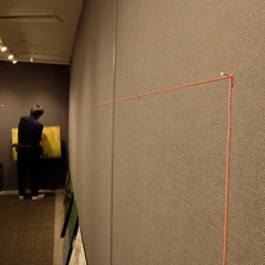 DSC90029