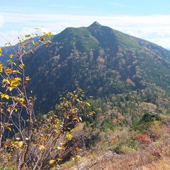 DSCF3526