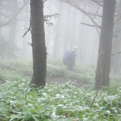 DSCF5611