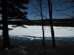 DSCF4517