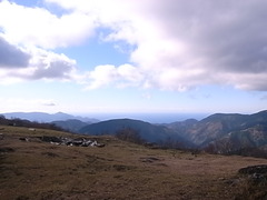 R0107341
