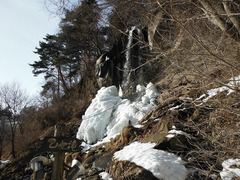 DSCF4531