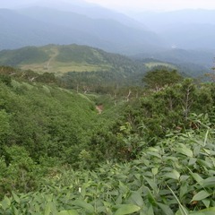 R9325895