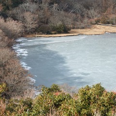 DSCF4424
