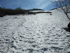 DSCF2477