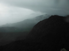 DSCF2287
