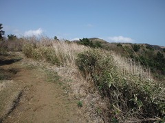 DSCF0250