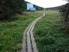 DSCF6024