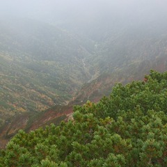 DSCF3477