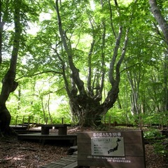 R9324695