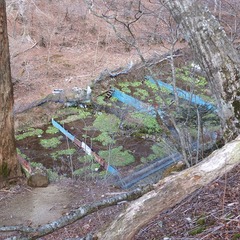 DSCF4410