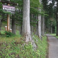 DSCF1277