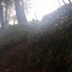 DSCF1348