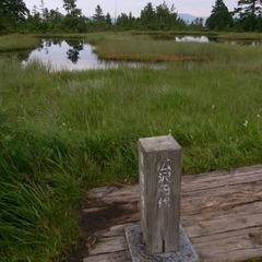 R9325869