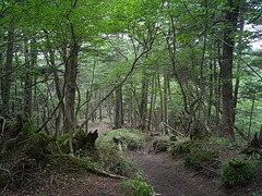 R0012291