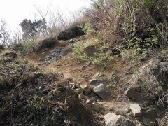 DSCF0249