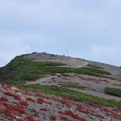 DSCF3573