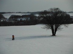 DSCF6314