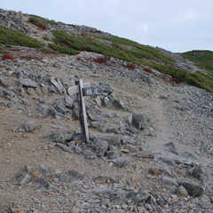 DSCF3572