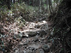 DSCF0223