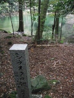 DSCF3886