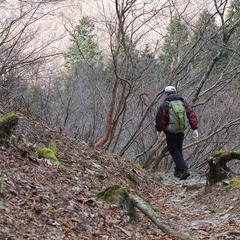 DSCF4415