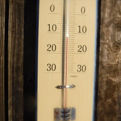DSCF5245