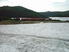 DSCF2503