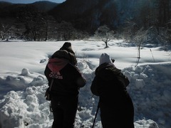 DSCF5953