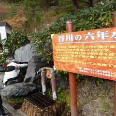 DSCF4962