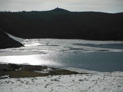 DSCF2505