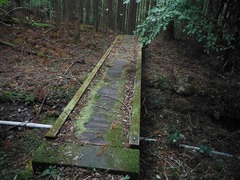 DSCF3885