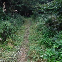 DSCF5543