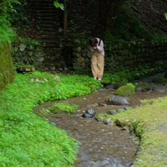 DSC15096