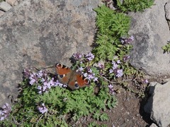 R0012555