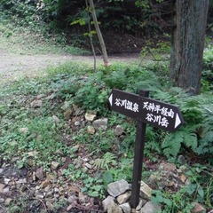 DSCF5707