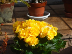R0010096