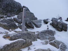 DSCF0083